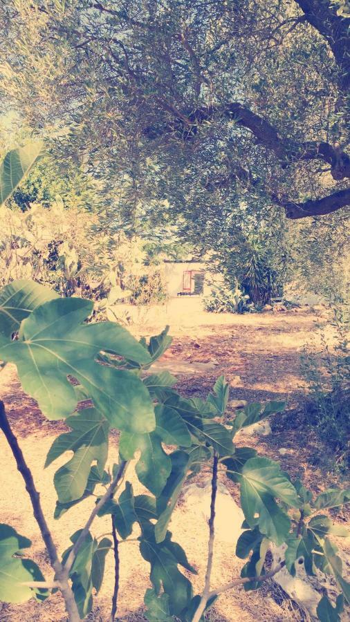 Trullo Riccardo Villa Ostuni Buitenkant foto